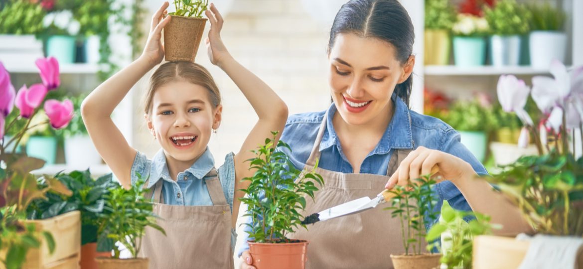 5 razones para tener plantas en casa