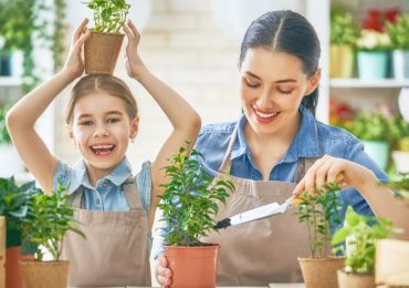 5 razones para tener plantas en casa